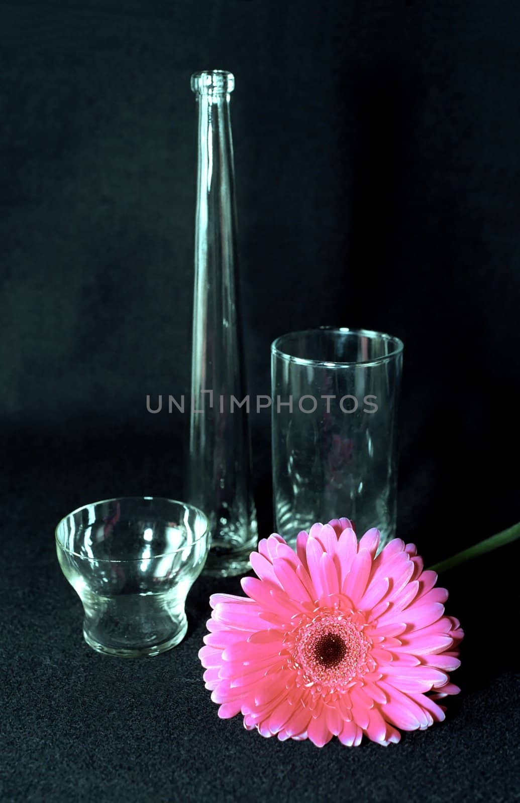 Glass things and rose flower on black background