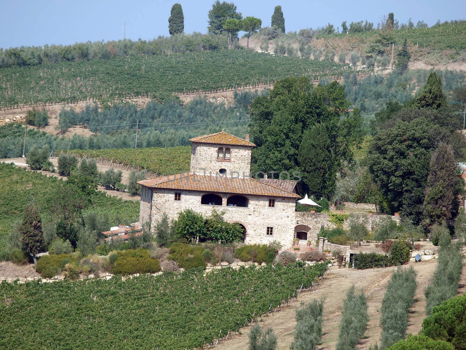 Villa in Tuscany amongst vineyards and an olive groves