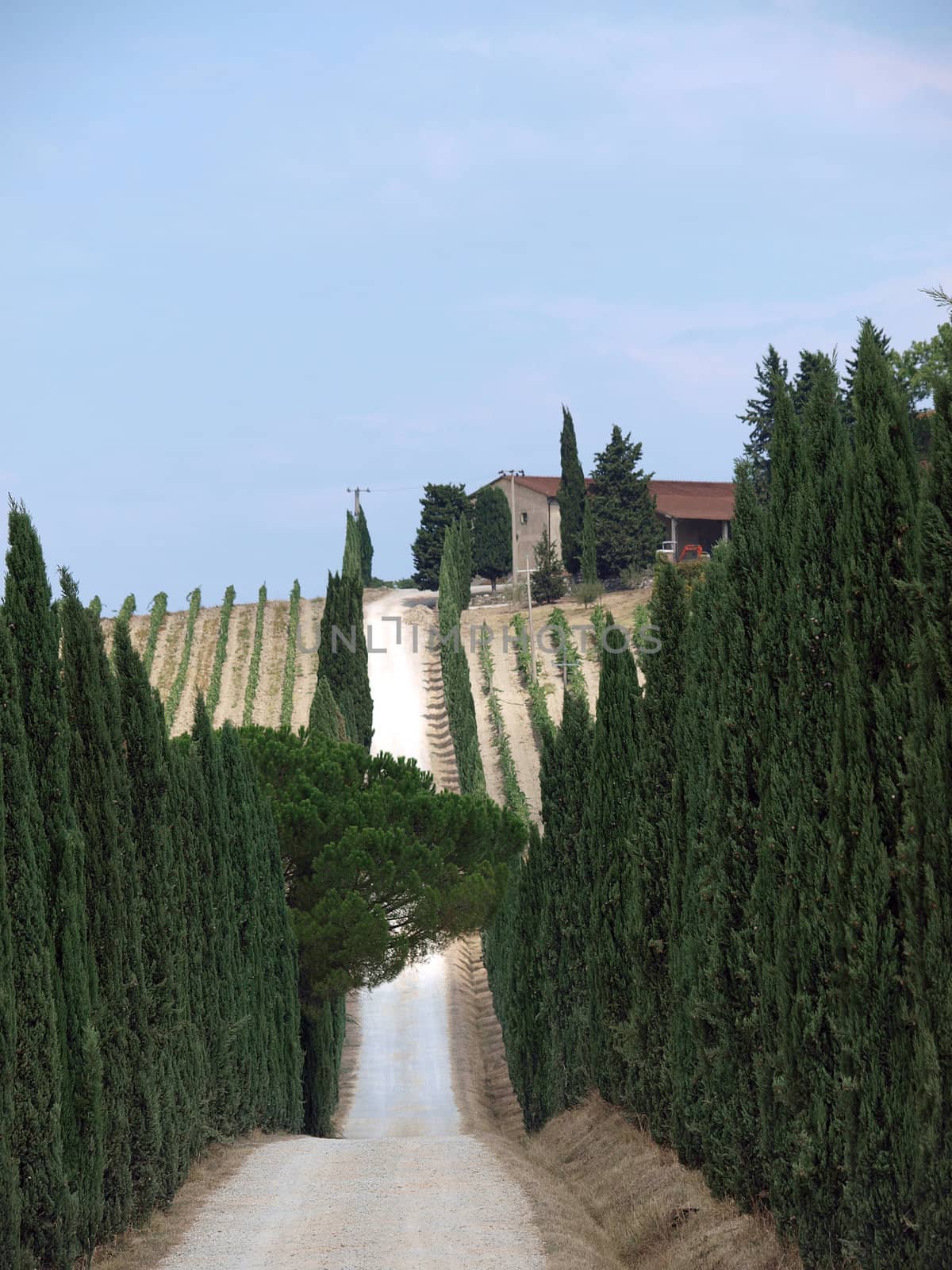 Tuscan landscape in the best edition