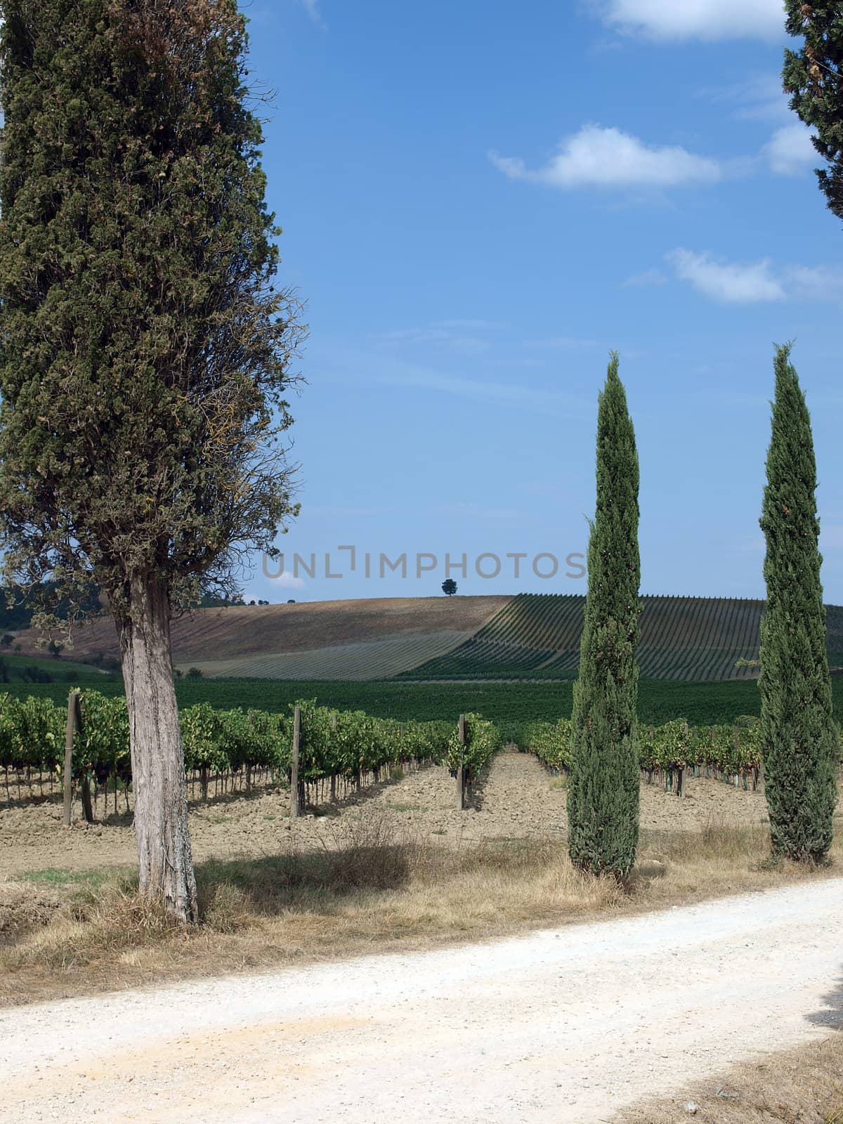 Tuscan landscape in the best edition