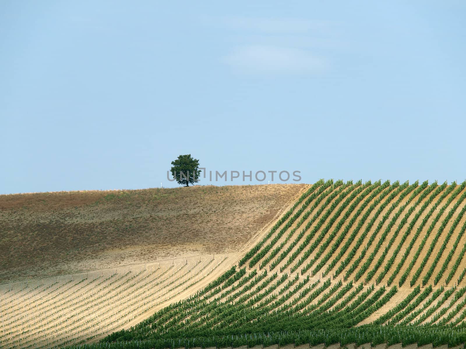 Tuscan landscape in the best edition