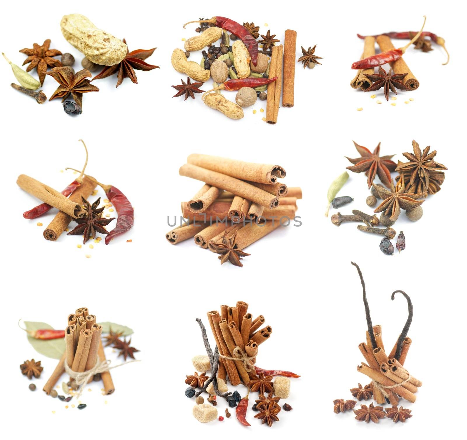 Collections of Spices with Cinnamon Sticks, Anise Stars, Peppercorn, Chili Peppers, Vanilla, Various Dried Nuts and Some Scented Pods isolated on white background