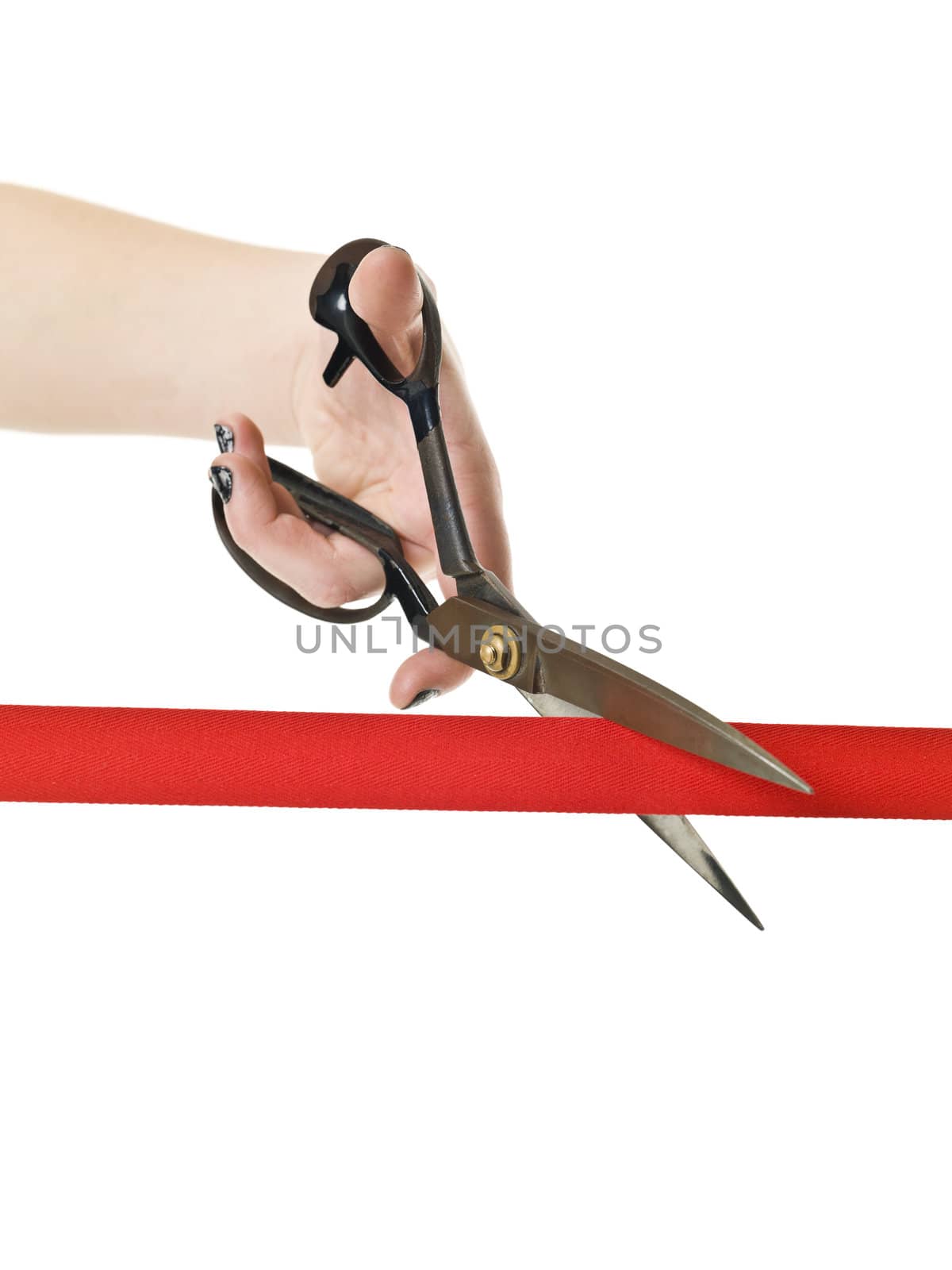 Cutting the Red Ribbon close up