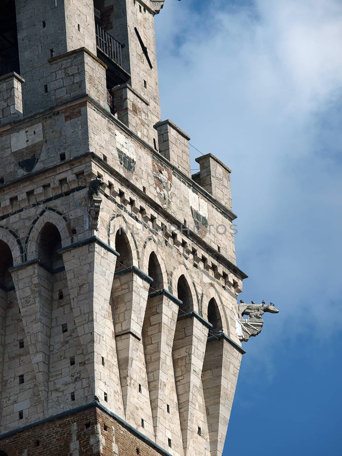 Siena - Torre del Mangia