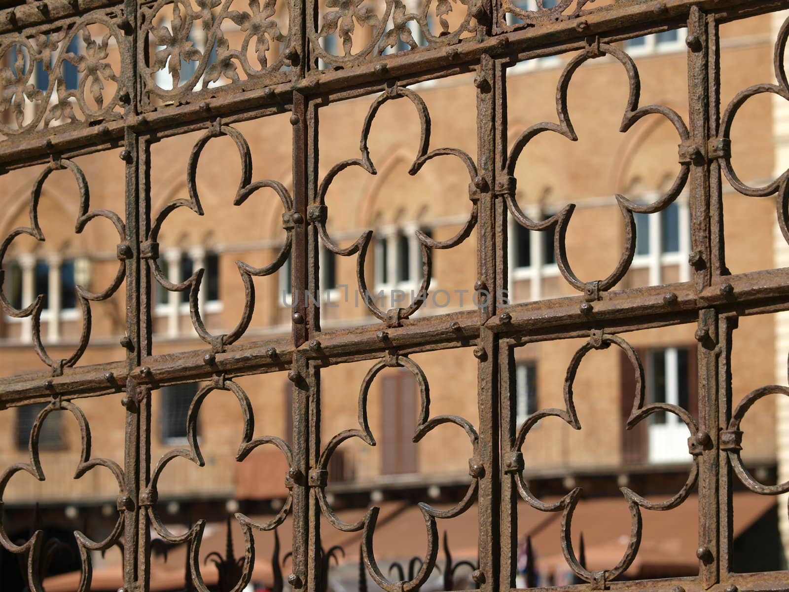 Siena - decorative grating on Piazza  del  Campo