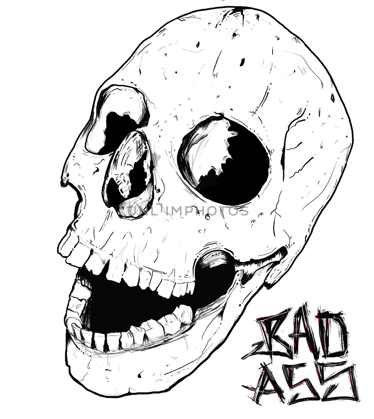 Hand drawn skull. very high quality and very original.