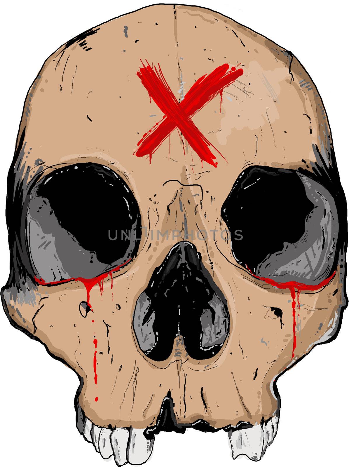 Hand drawn skull. very high quality and very original.