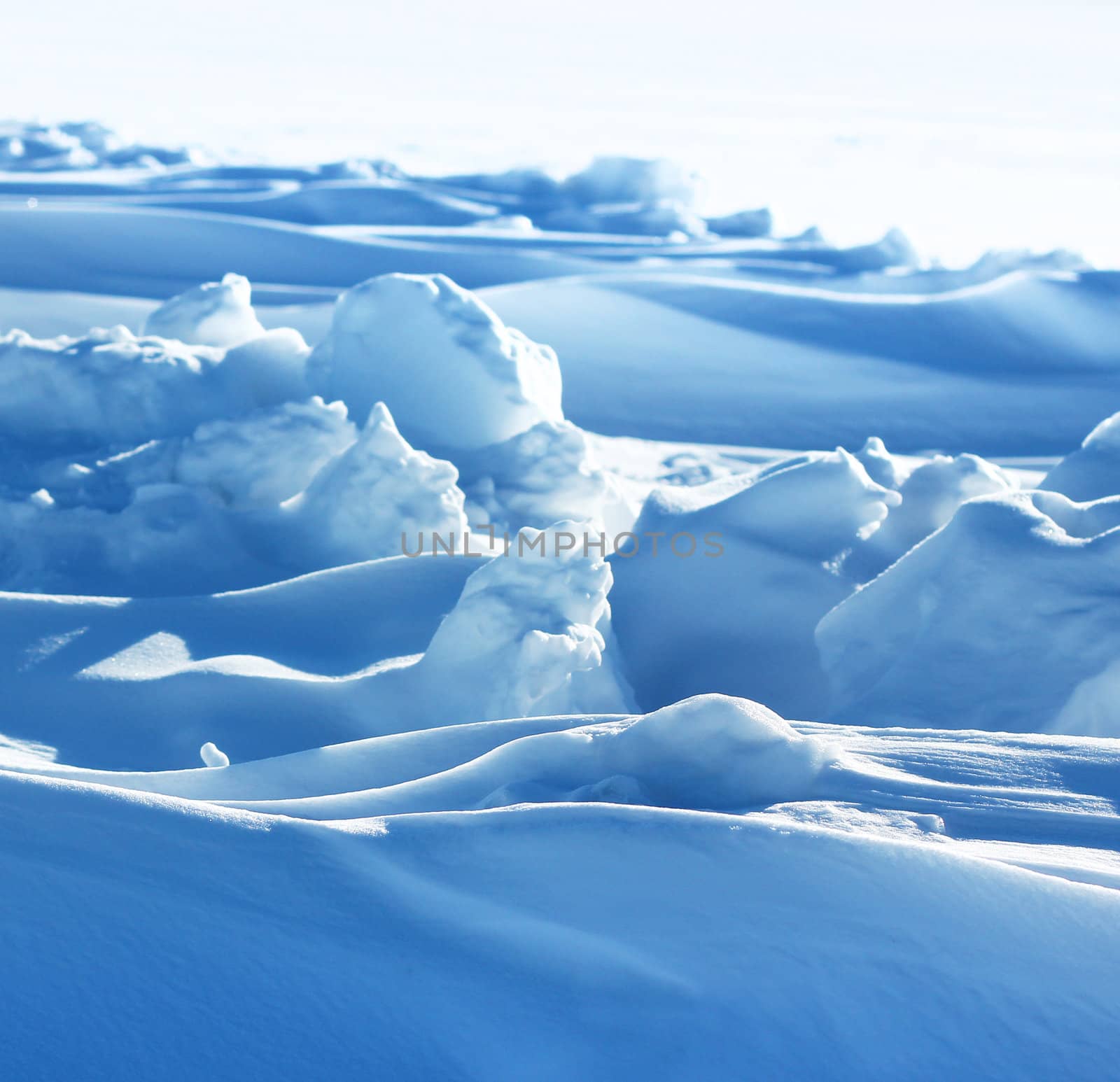 Pure arctic snow formation by anterovium