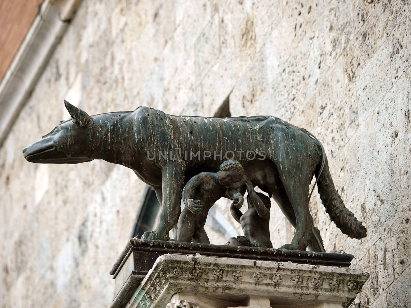 Siena - the town's emblem; a she-wolf suckling the infants Romulus and Remus.
