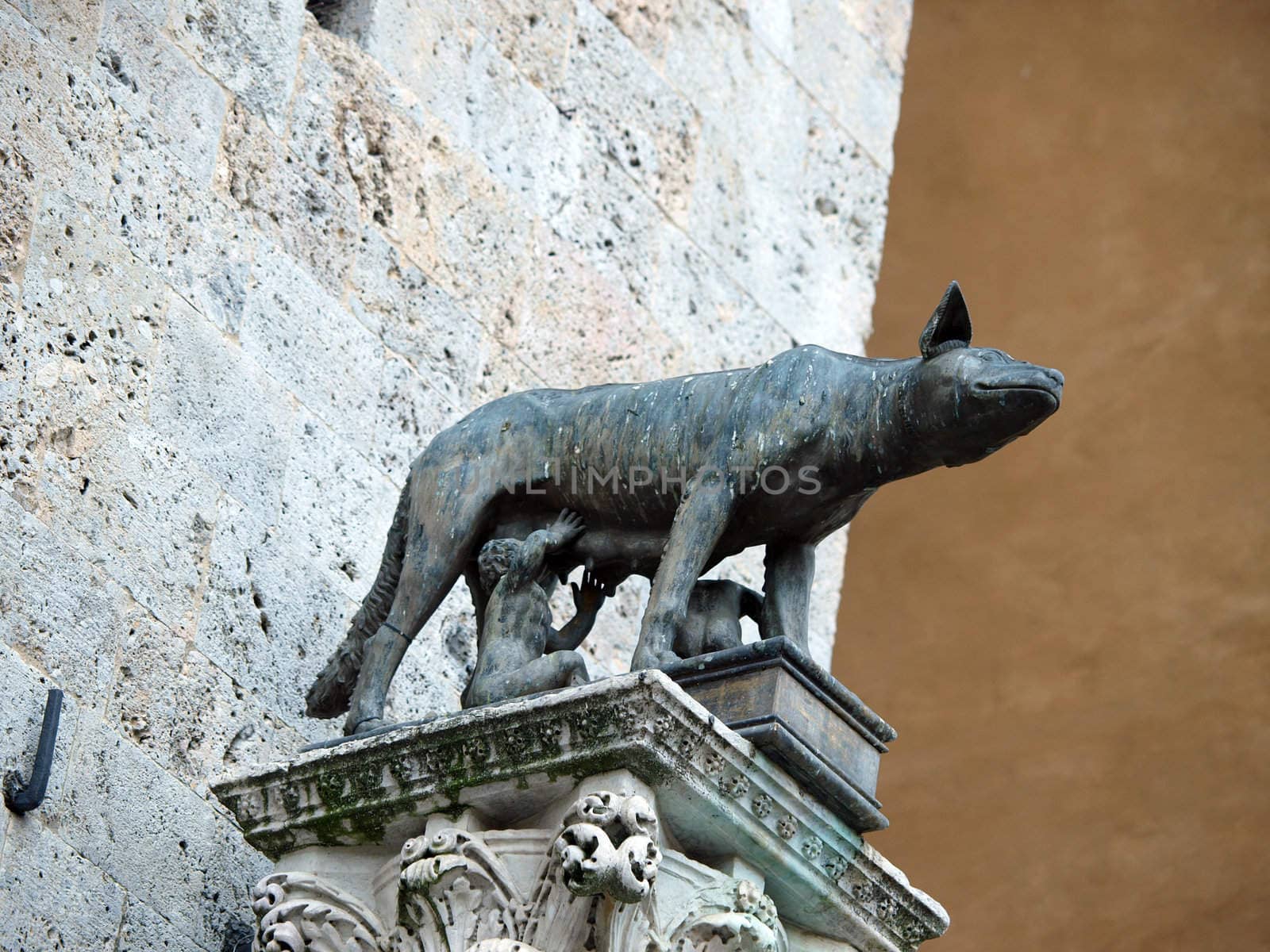 Siena - the town's emblem; a she-wolf suckling the infants Romulus and Remus.