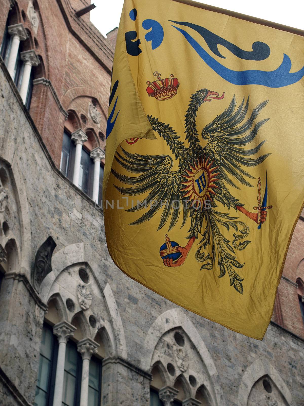 Siena - Contrada dell Aquila flag