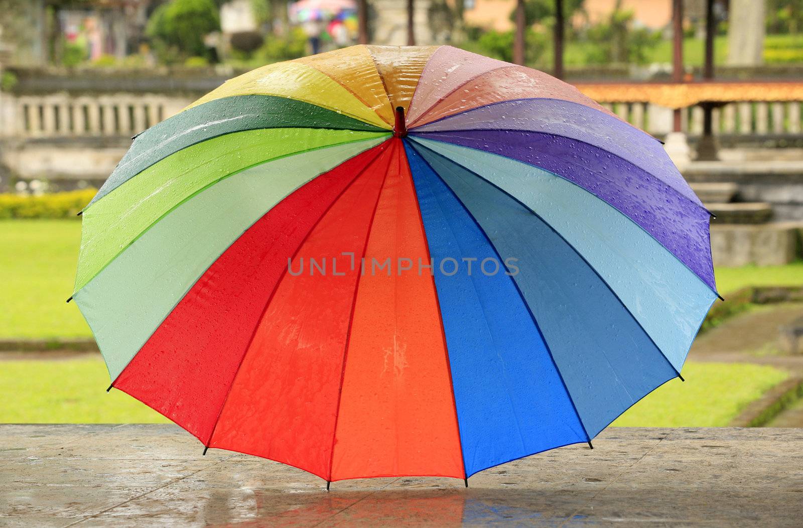 Open wet umbrella in the street