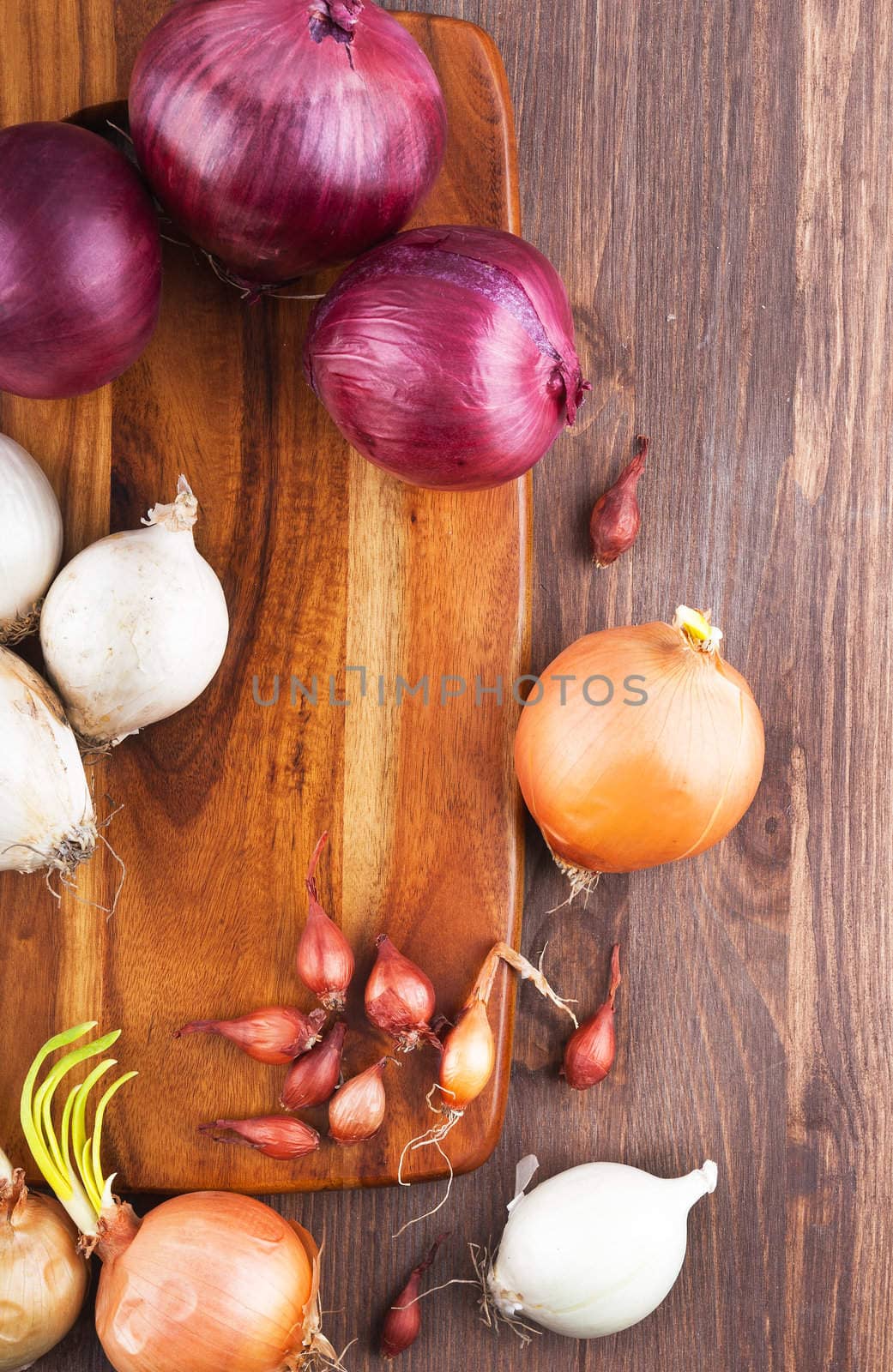 Different varieties of onions on a kitchen board and wooden surface