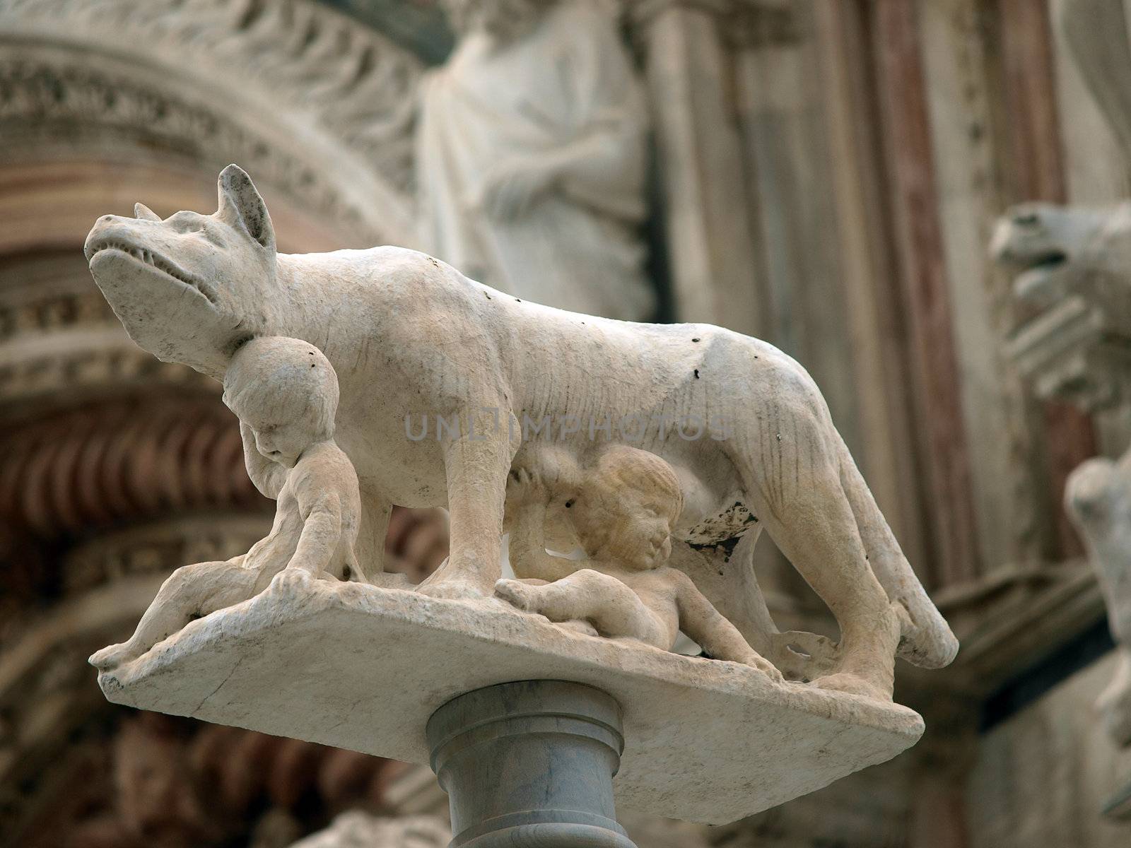 Siena - column with the she-wolf in front of the Duomo facade 