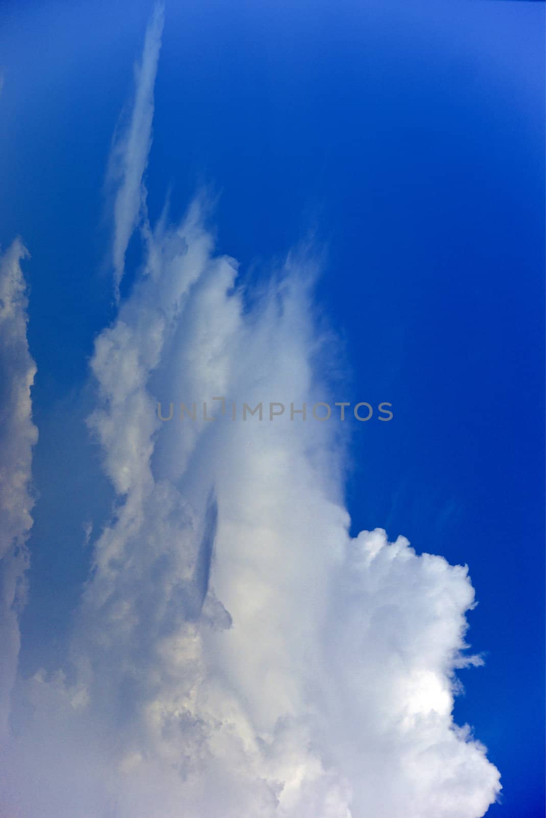 The beautiful white clouds and blue sky