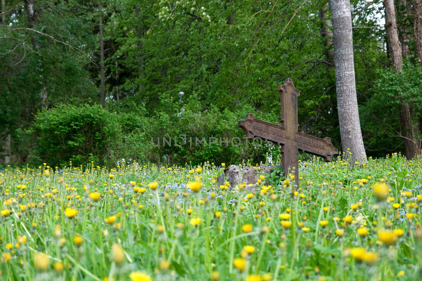abandoned cemetery with rusty cross