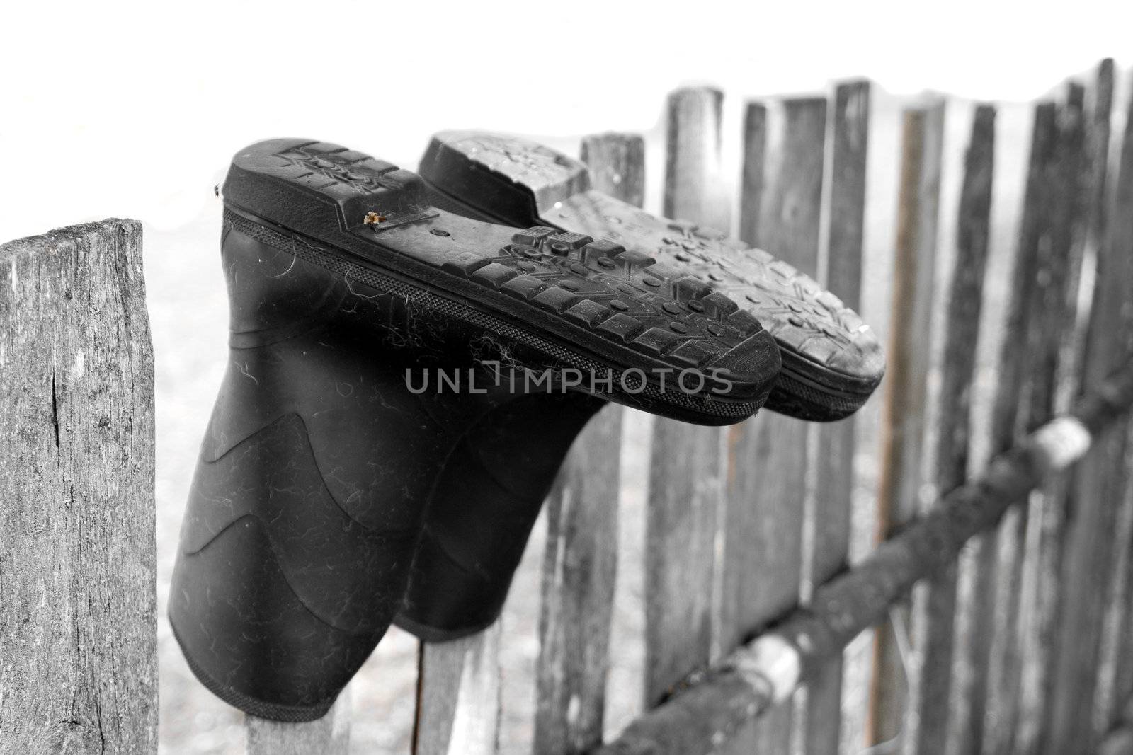 Pair of old rubber boots drying on an old wooden fence