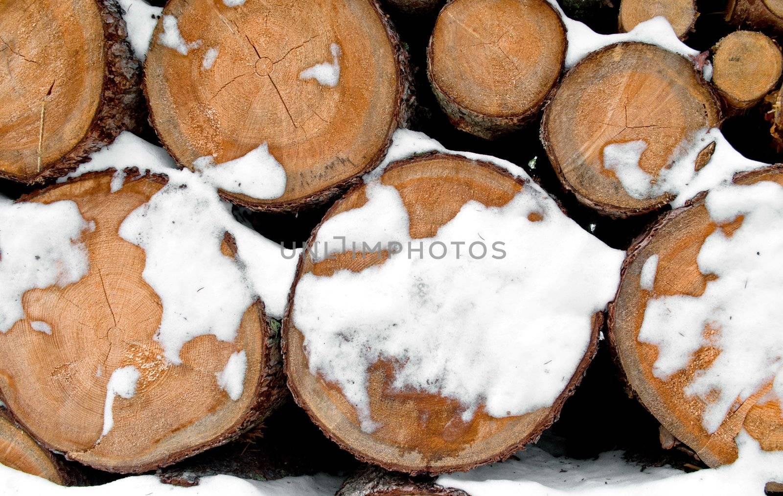 Snow log stack lumber in winter with snow