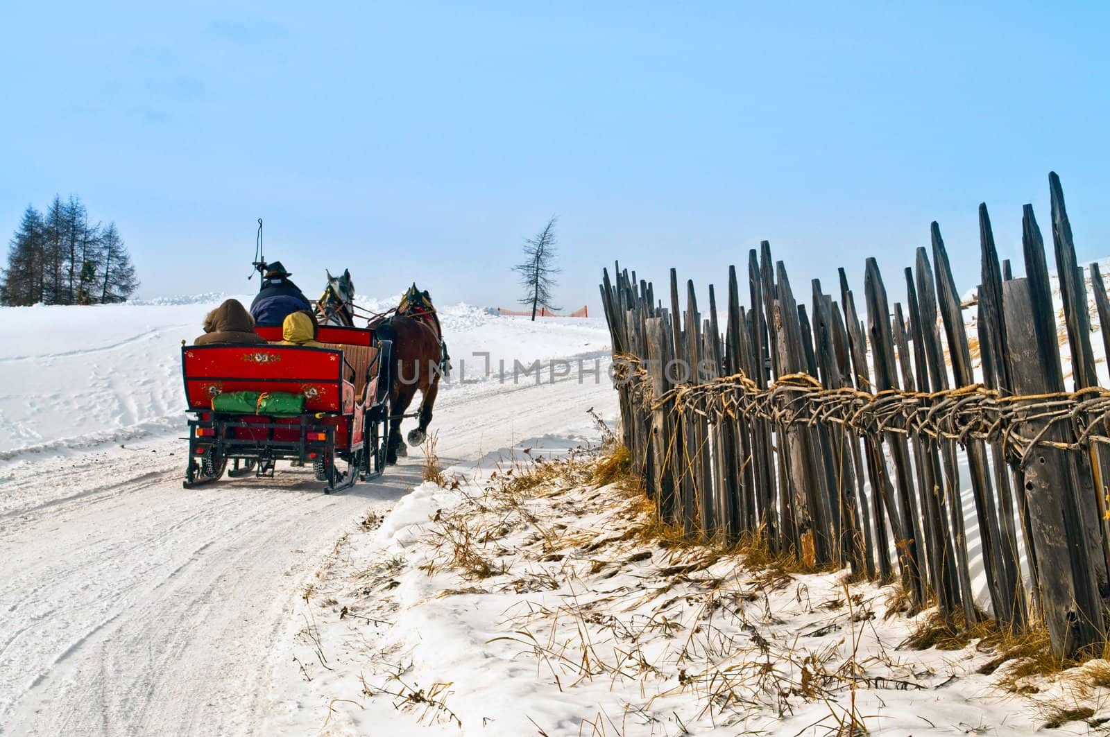 Horse sledge in action in winter landscape by rigamondis