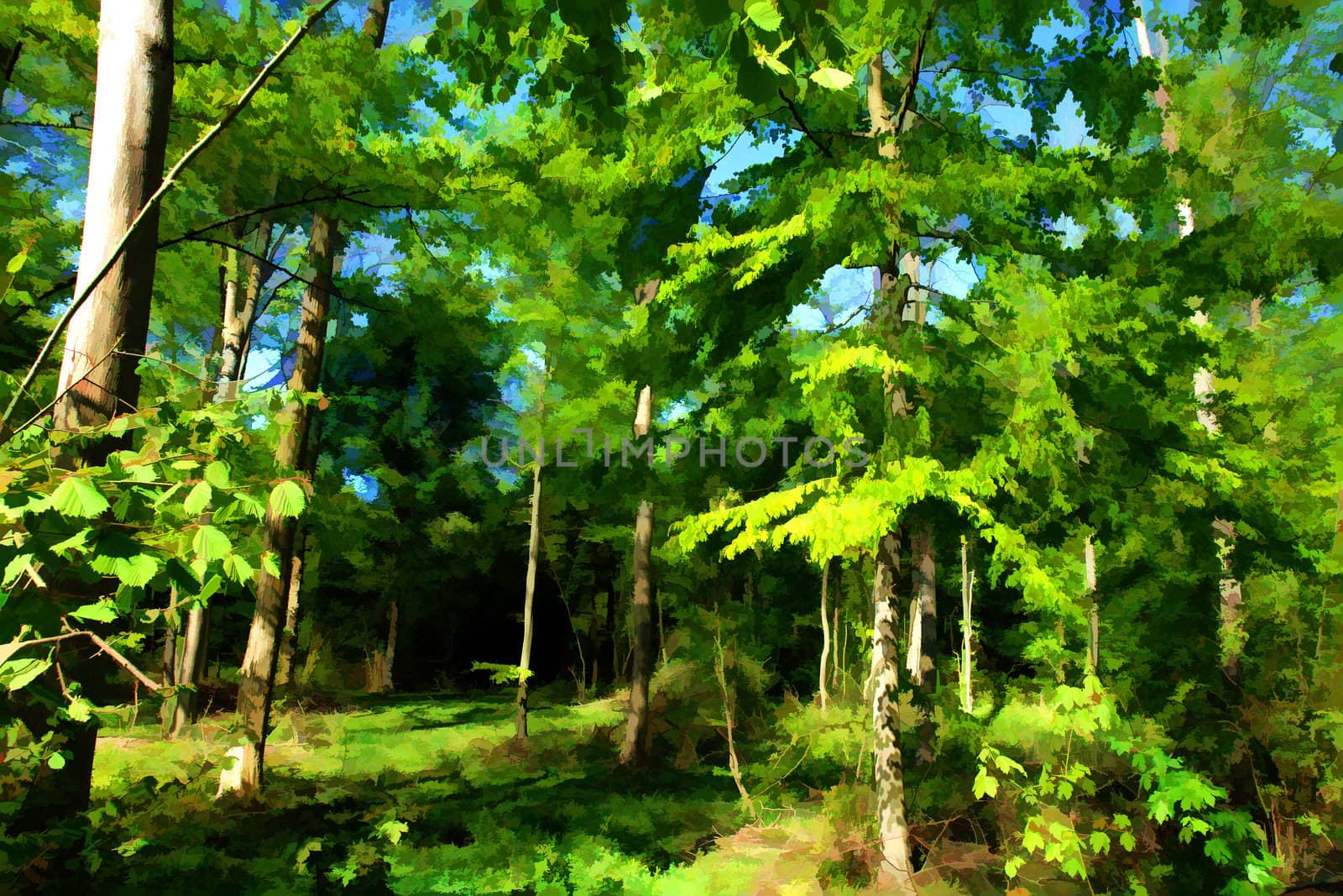 Beautiful Fairy Forest blooming with green in the summer digital art manipulation                               