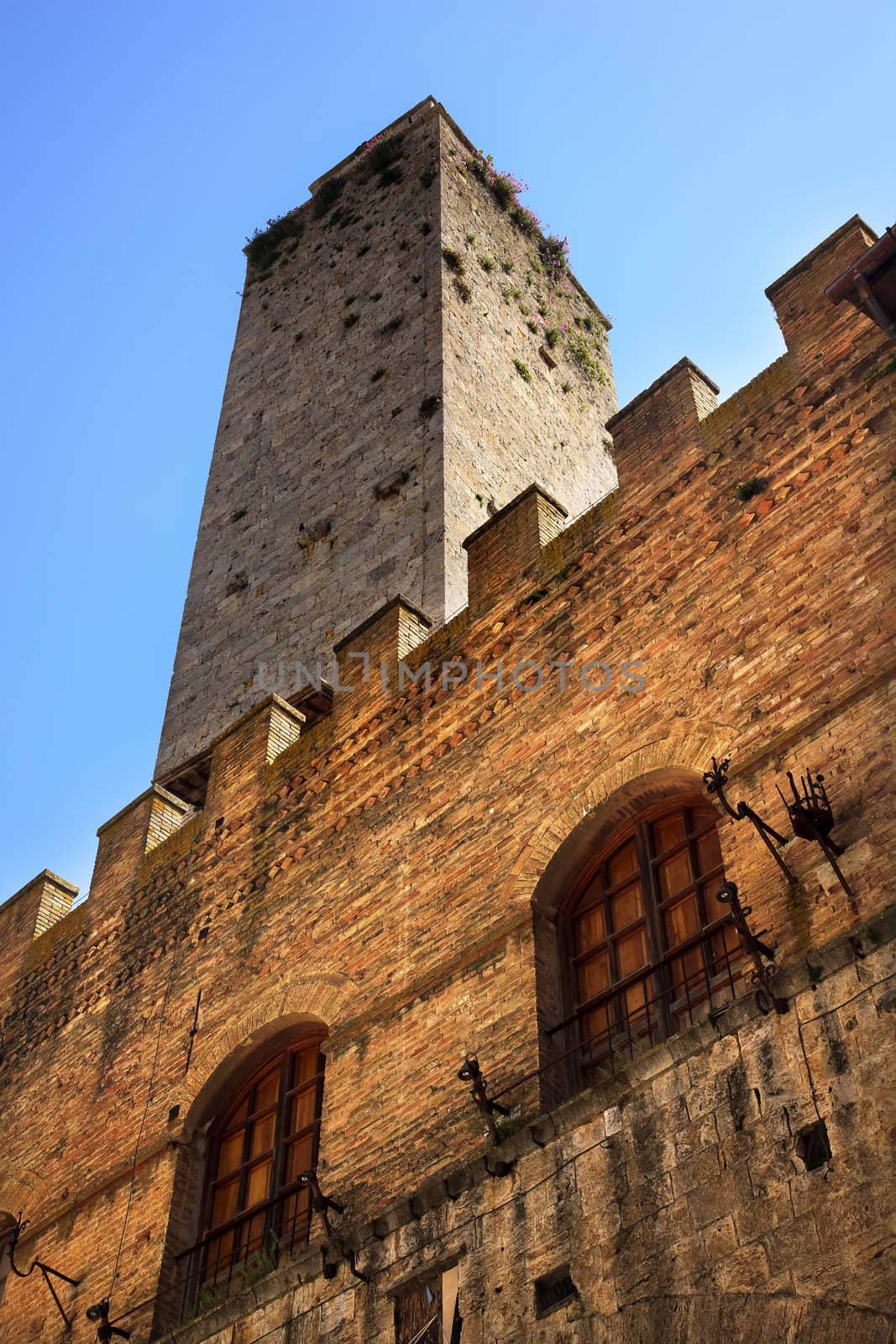Medieval Stone Tower Town Hall San Gimignano Tuscany Italy Pink Flowers Windows Walls