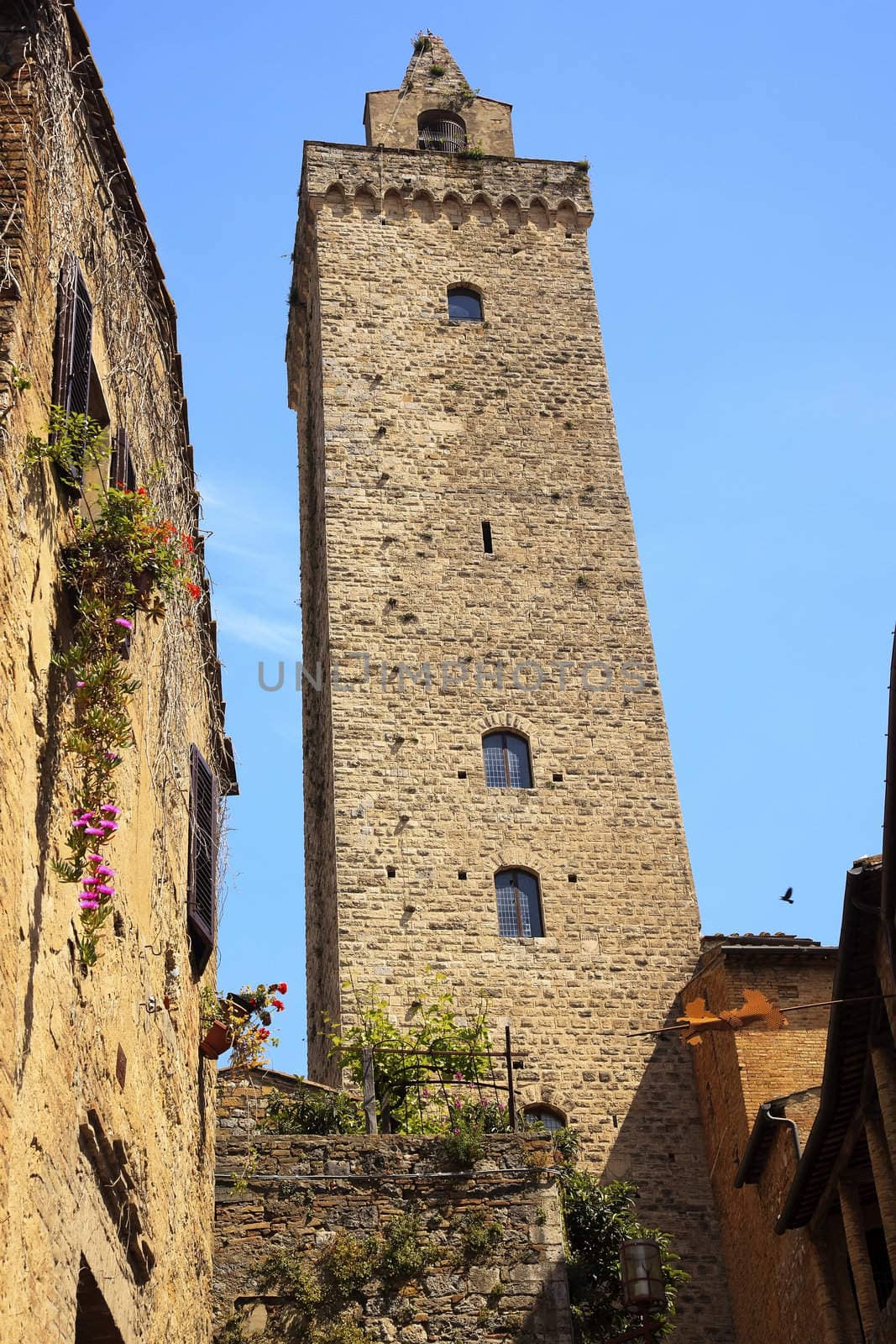 Medieval Stone Ancient Cuganensi Tower Flowers San Gimignano Tuscany Italy