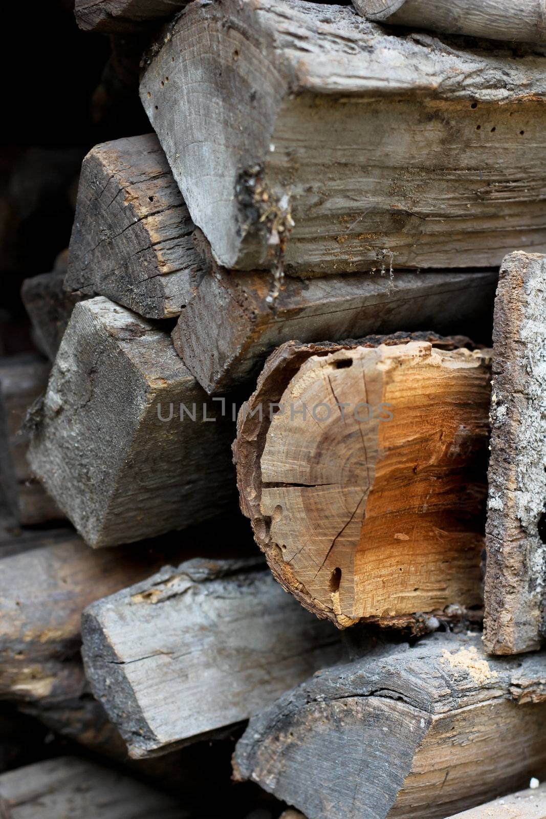 Pile of different woods