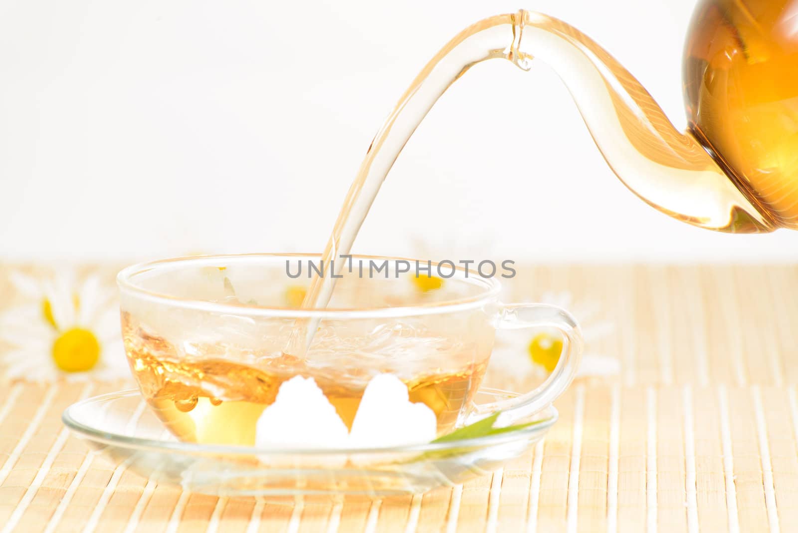 A teacup and a teapot with herbal chamomile tea