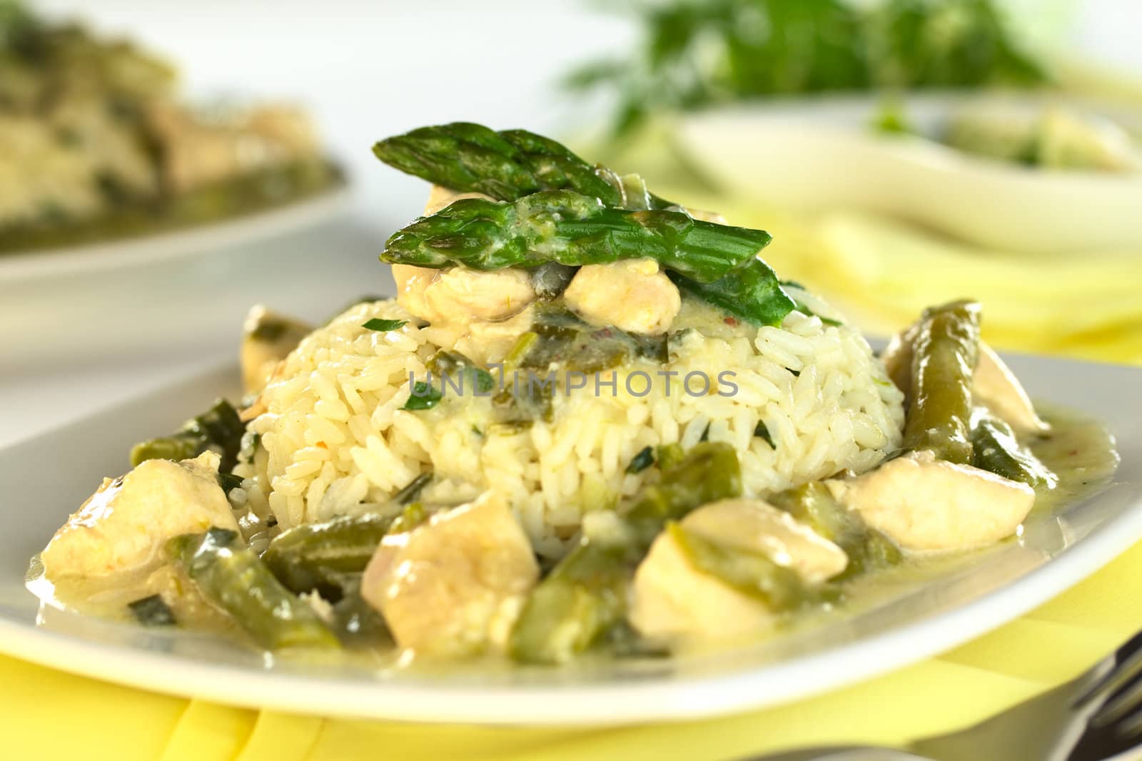 Green asparagus and chicken fricassee with rice (Selective Focus, Focus on the first asparagus tip on the rice)