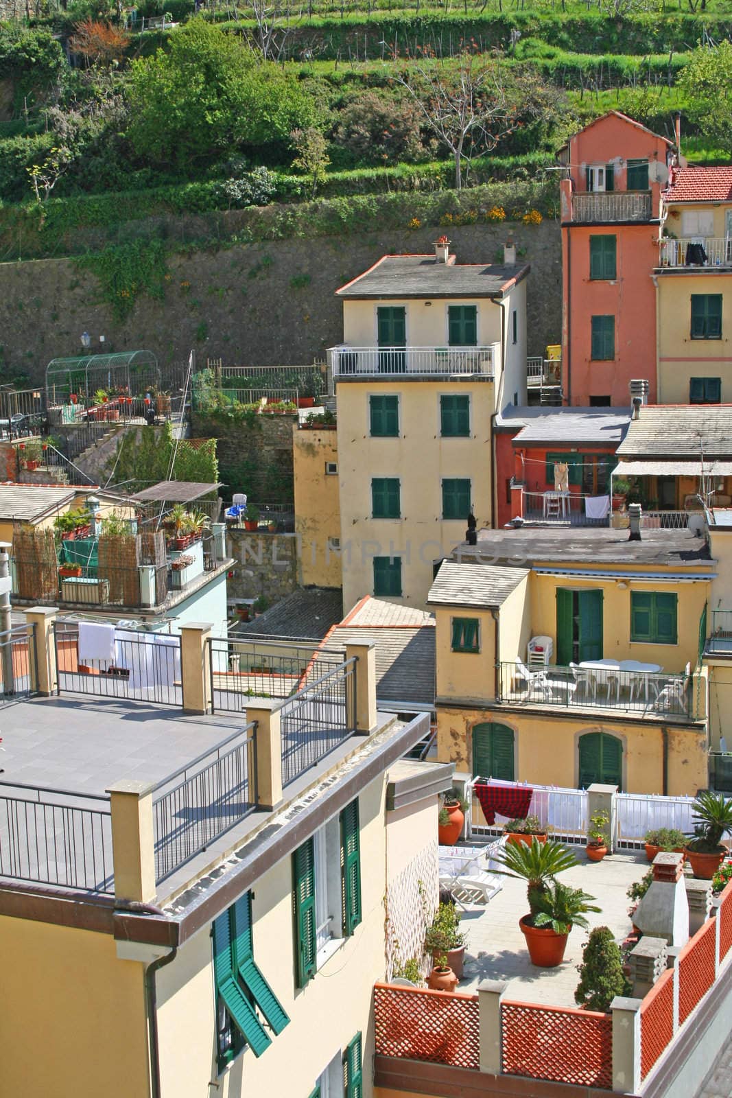 Italy. Cinque Terre. Riomaggiore 
