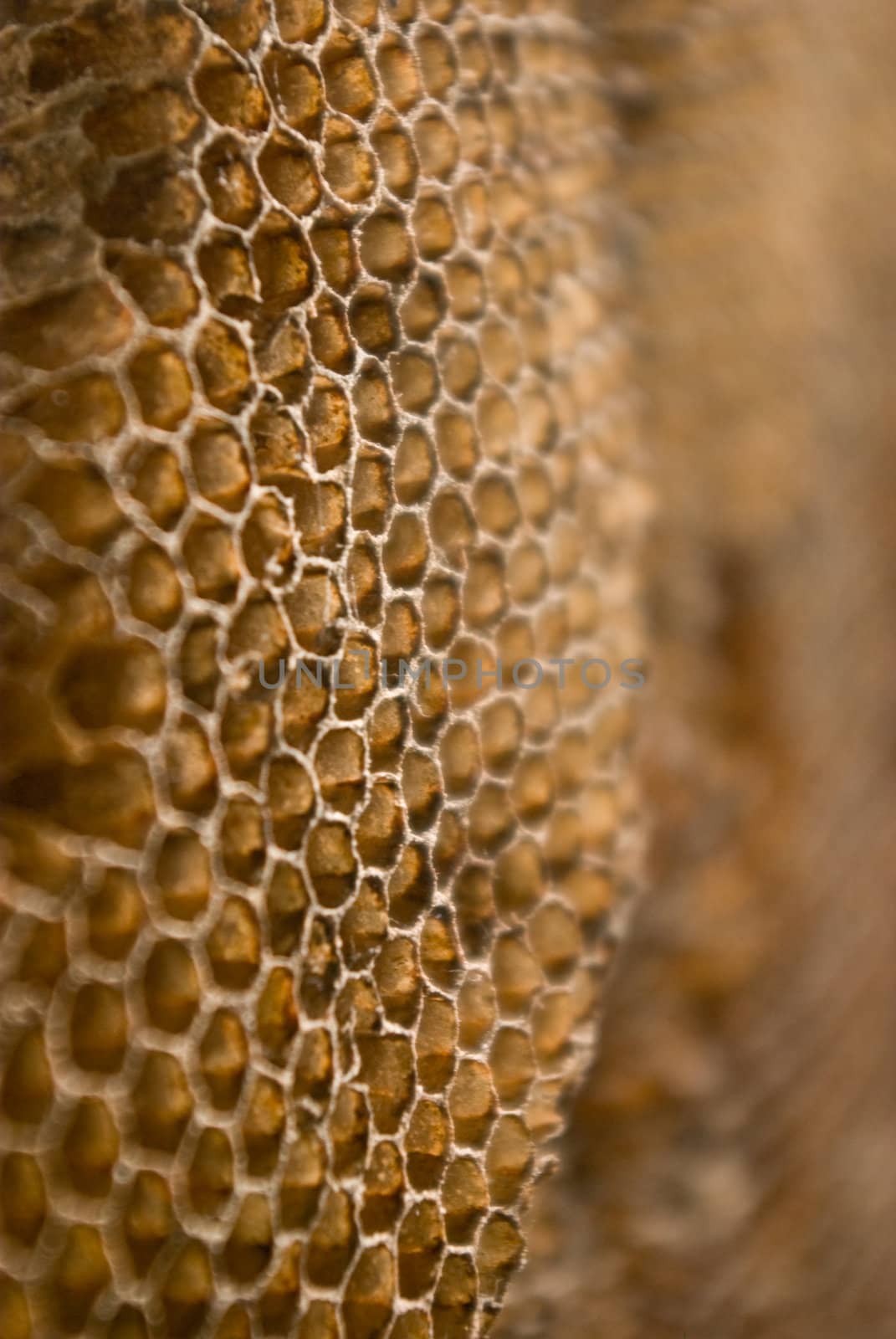 Honeycomb background