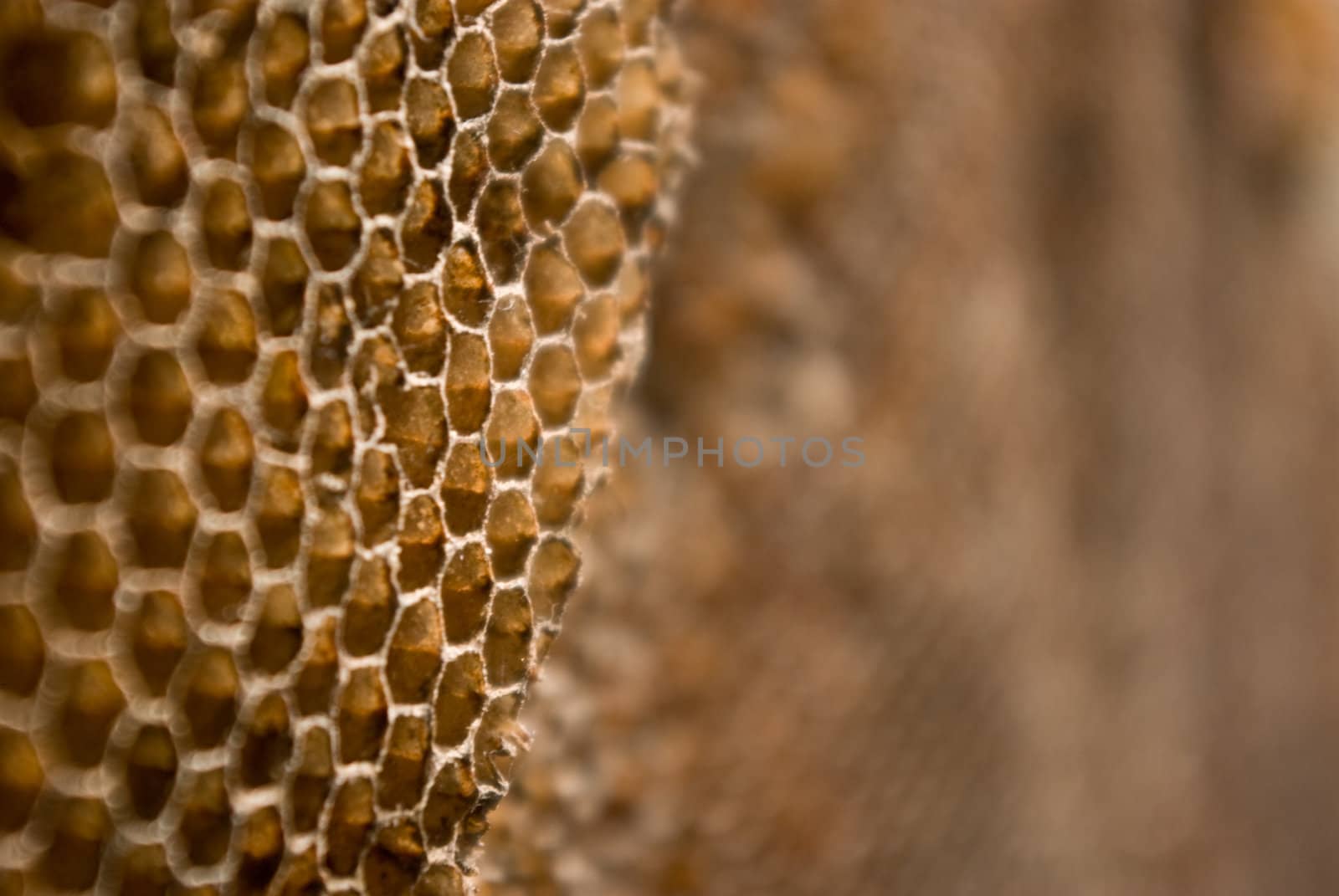 Honeycomb deserted by pixbox77