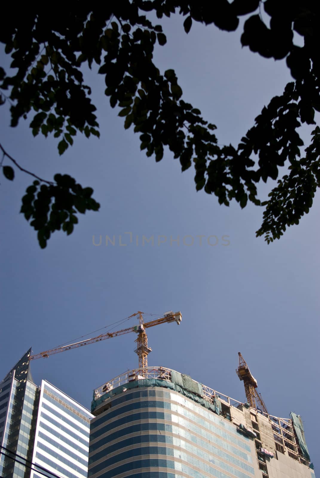 Crane on the top of tower by pixbox77