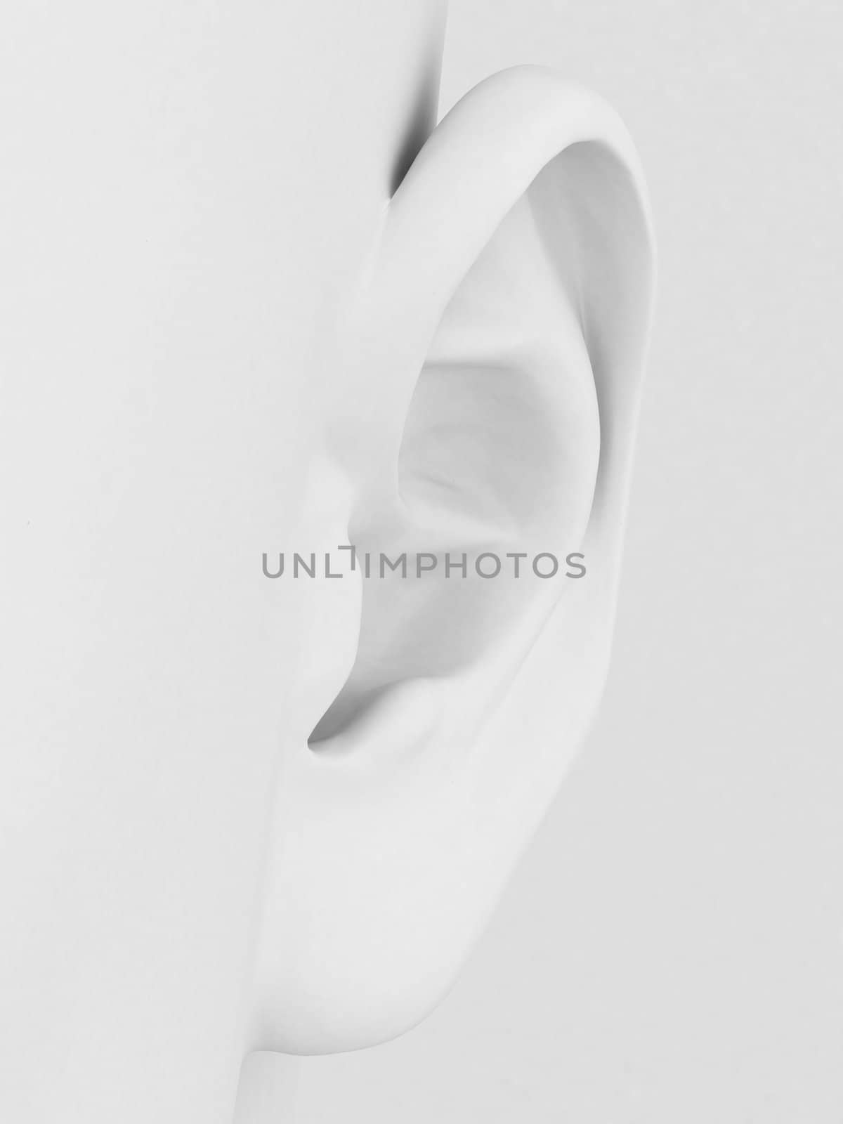 3d model of the ear on a gray background