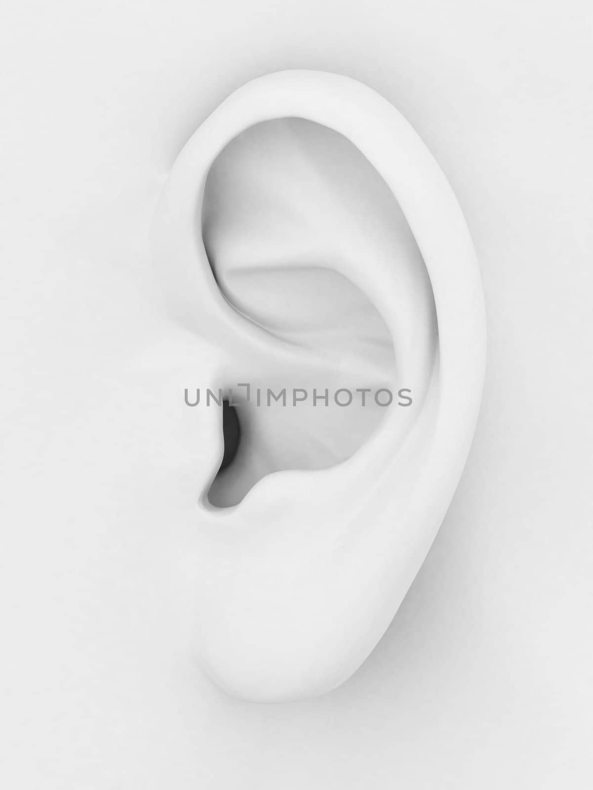 3d model of the ear on a gray background