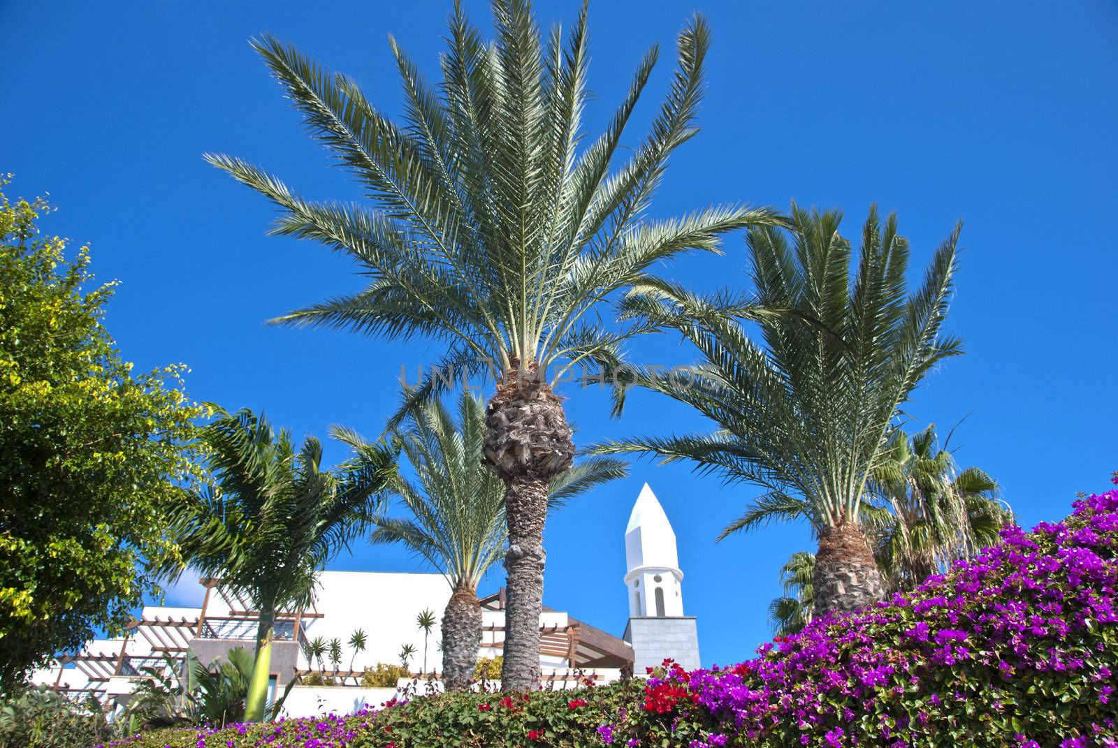 A Traditional Canary Island Bell Tower Palm Trees and Bougainvillea