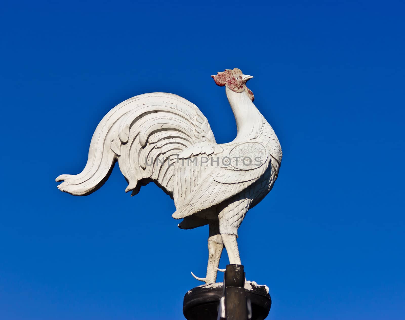 chicken statue stone white on blue sky blackground by sutipp11