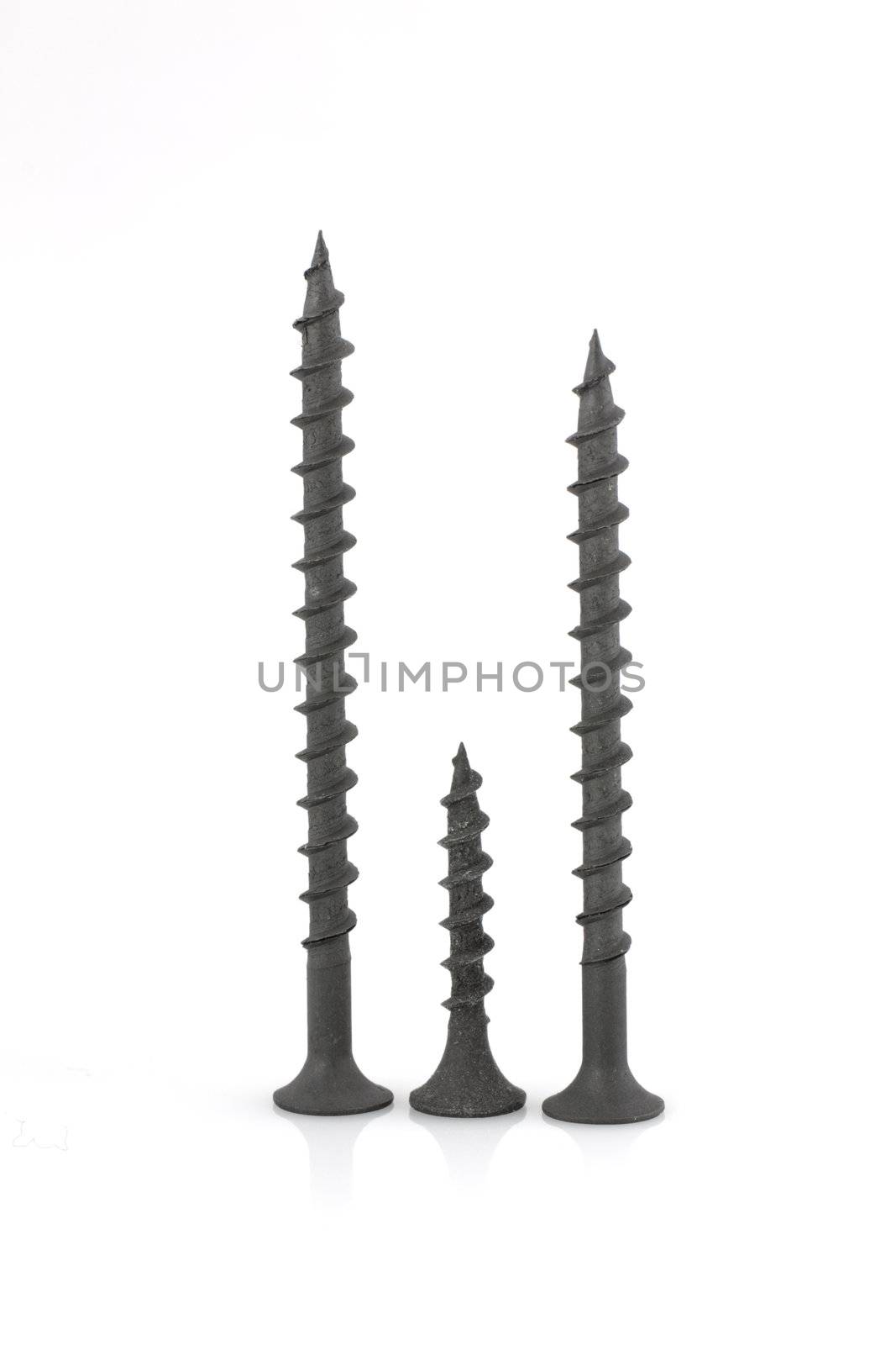  Black screw isolated on white background