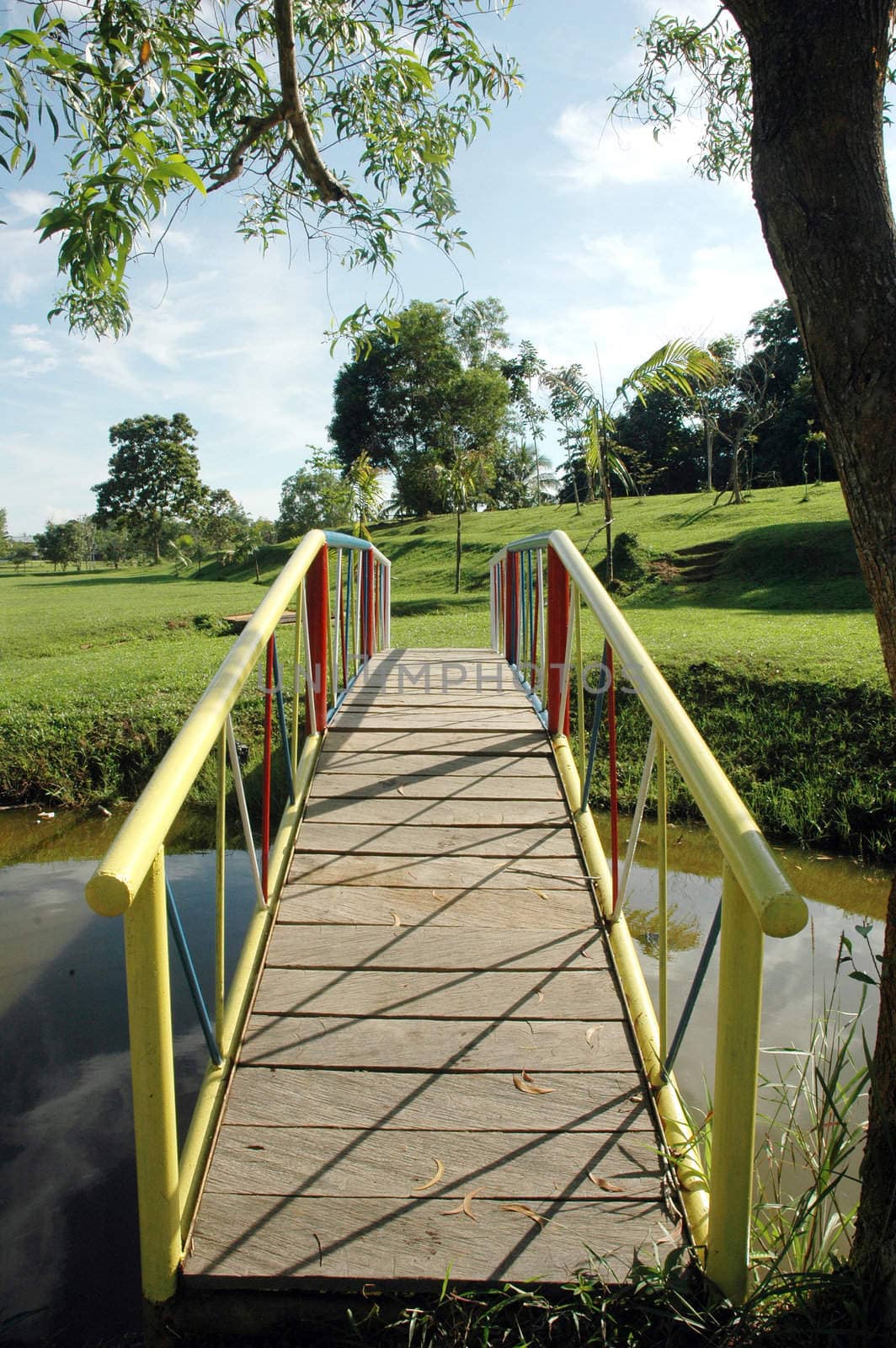 bridge in a park