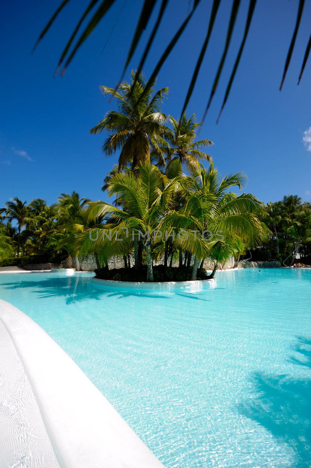 Swimming pool by cfoto