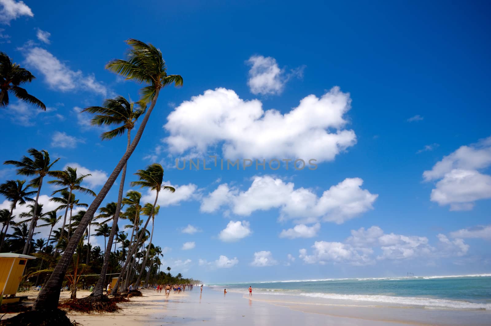 Palms hanging over exotic caribbean beach with the coast in the background.