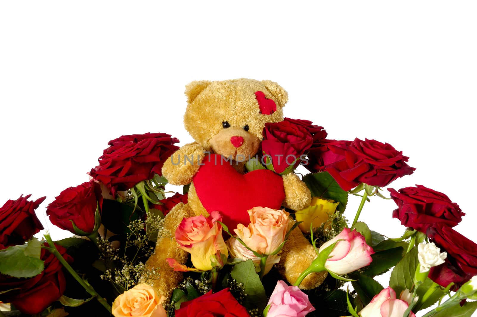 Bouquet of rose flowers isolated on white background. A teddy bear is sitting ontop of the flowers.