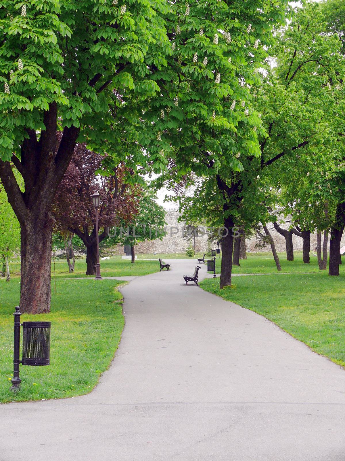 Park in Kalemegdan fortress - Belgrade, Serbia