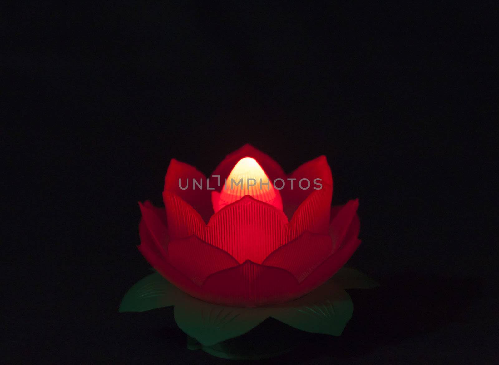 Lotus Lamp by Sukha