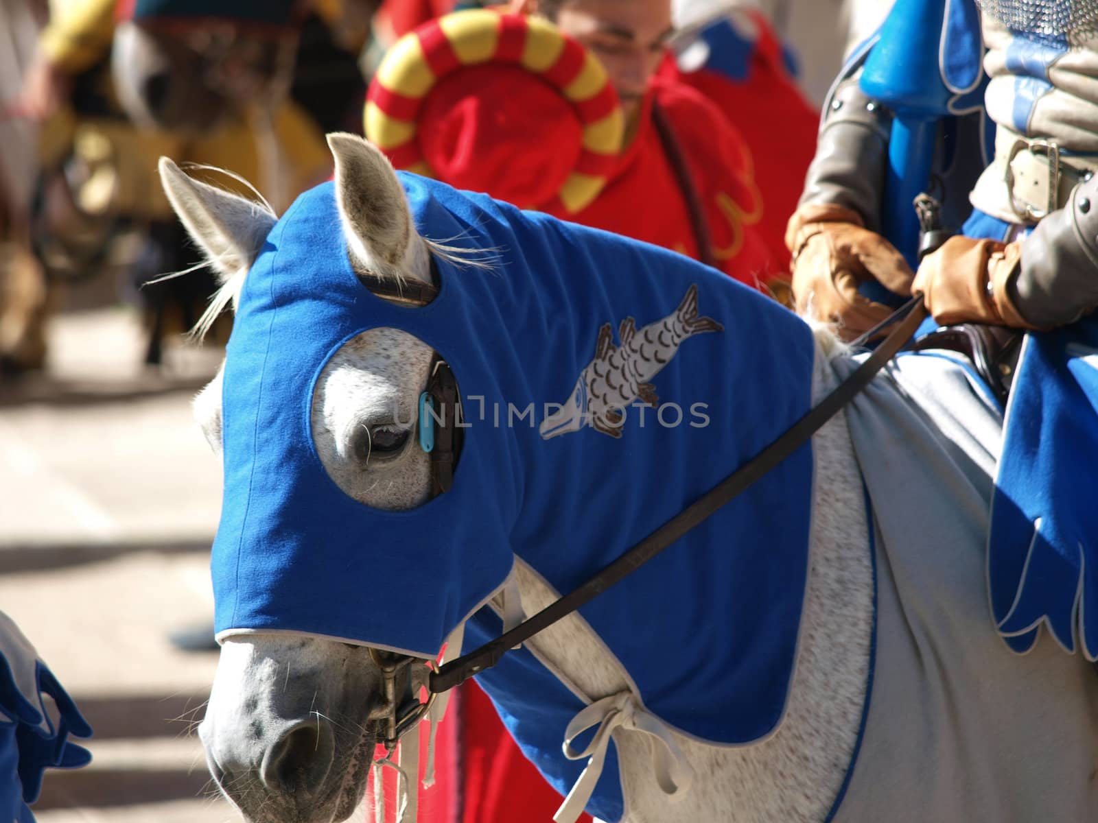Arezzo -  annual medieval festival called the Saracen Joust 