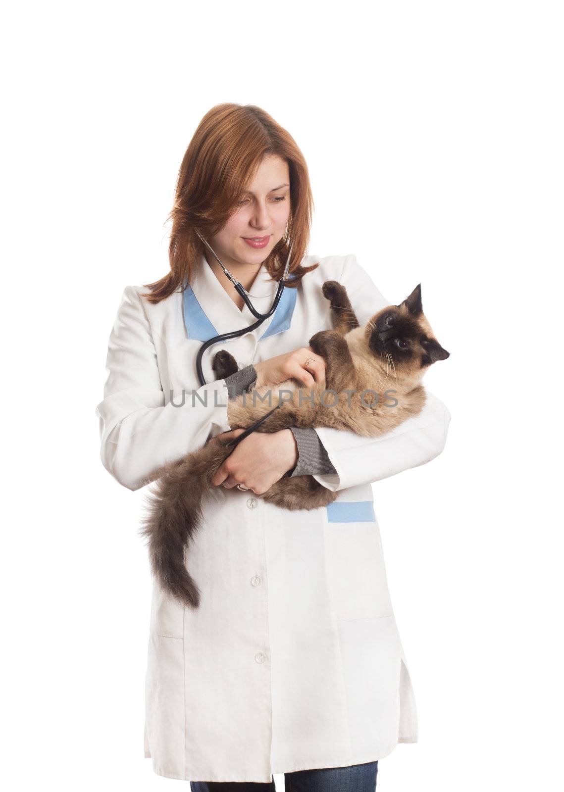 vet cat listens through a stethoscope by gurin_oleksandr