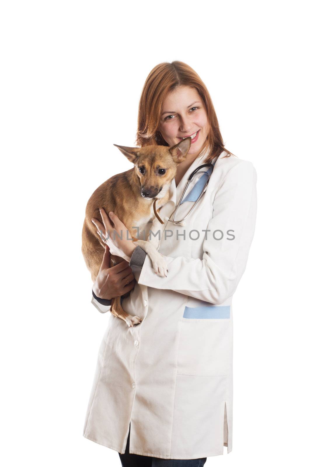 young woman veterinarian holding a puppy on a white background isolated