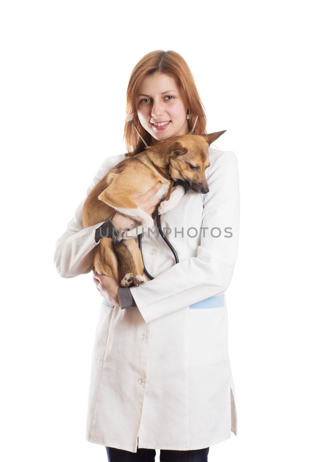 veterinarian woman listening through a stethoscope puppy  by gurin_oleksandr