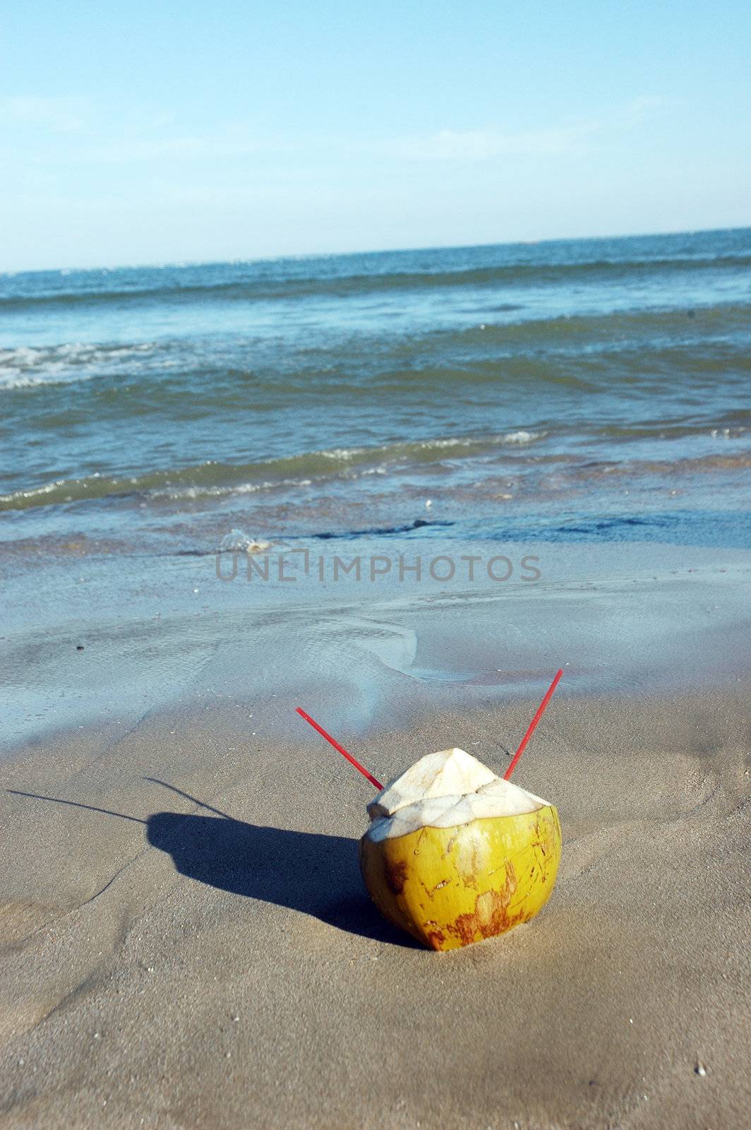 young coconut with a straw on the beach by antonihalim