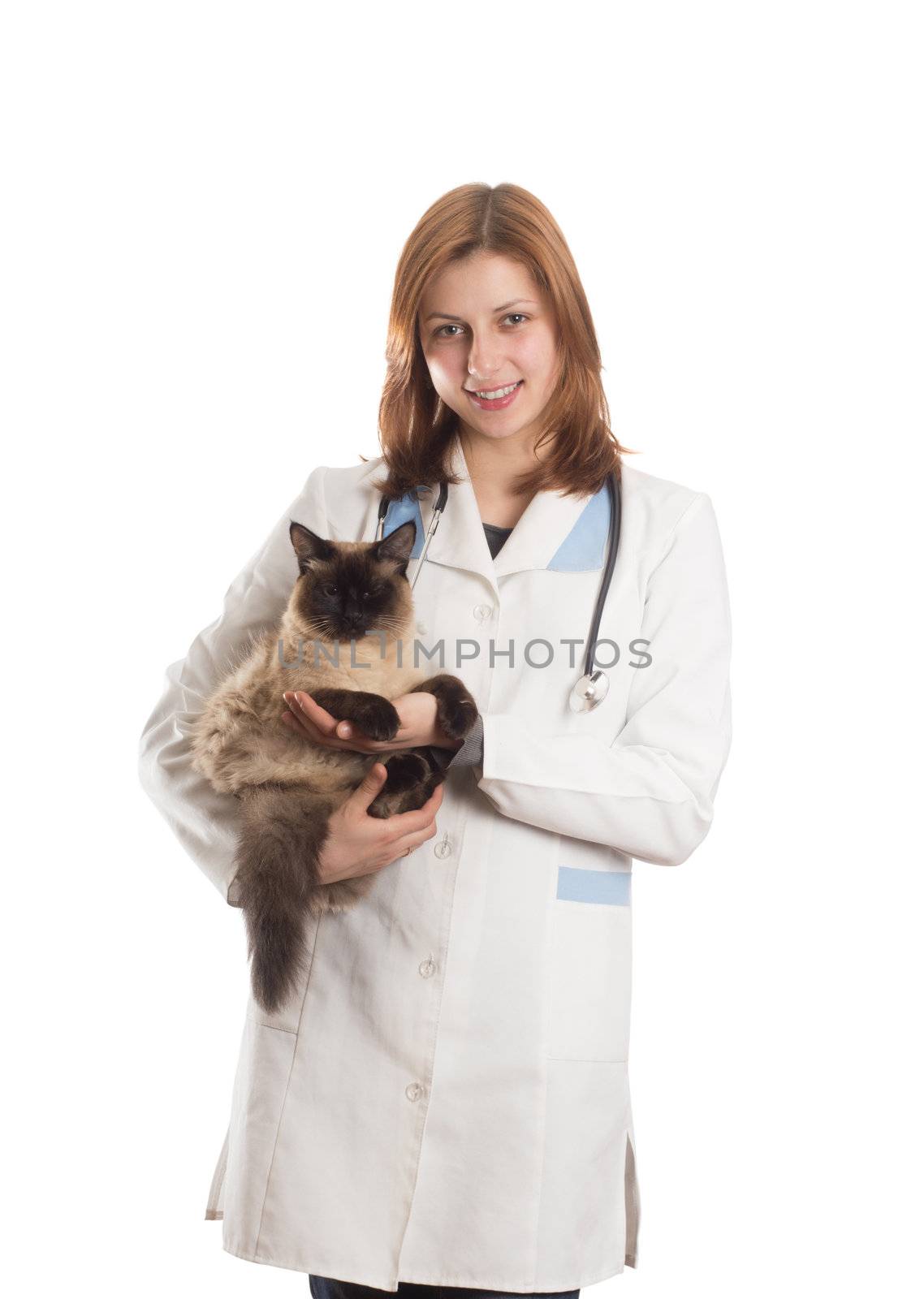 Girl in a medical uniform with a Siamese cat on a white background isolated